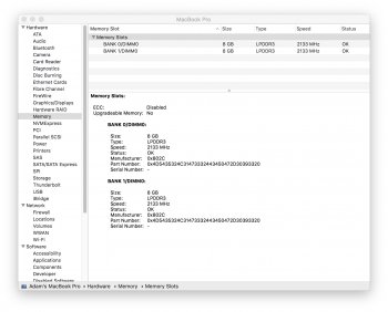 MacBook Pro - SysInf4_RAM16GB.jpg