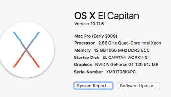 My Mac info.png