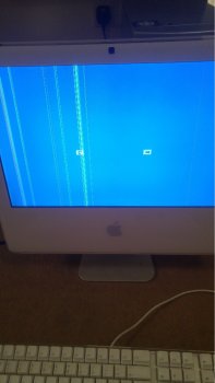 20171114_005745.jpg