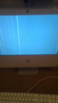 20171114_005827.jpg