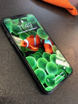 B673E82E-01D1-49C4-A03C-9E8FFAE5D569.jpeg
