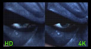 32E669B2-218D-4FDF-BDD5-CB401BB2696E.jpeg