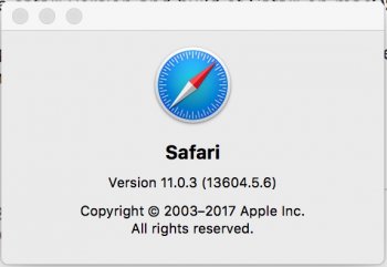 Safari.jpeg