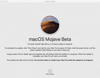 mojavebetainstaller.jpeg