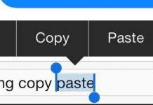 c-paste1.jpeg