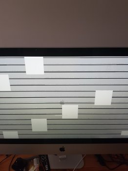 20180807_170744.jpg