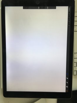 3D354D15-B1C2-417B-BEBB-2515749F0C16.jpeg