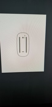 15351300710956223696529515809504.jpg