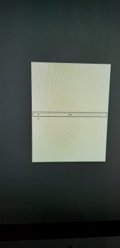 15351300917116936839482185315203.jpg