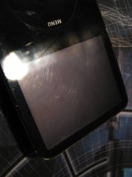IMG_1557.JPG