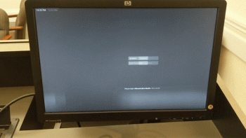 gif1.gif