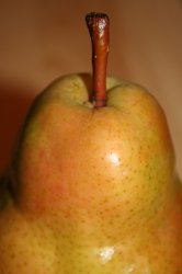 pear2.jpg