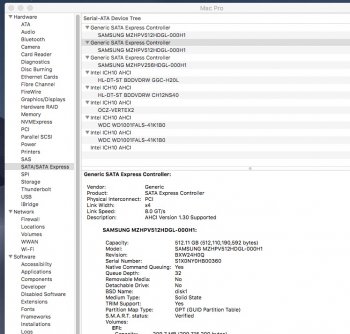 SM951 RAID 0 x4 8.0GTs info2.jpg