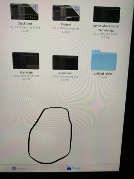 9E2D028B-774E-4D81-B66D-C3FCA70CA2AA.jpeg