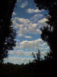 IMG_0596.JPG