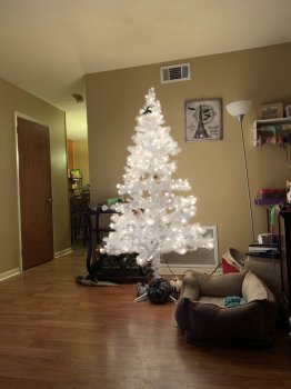 700678CB-7F87-432F-BCE3-E424CFCB5E6F.jpeg
