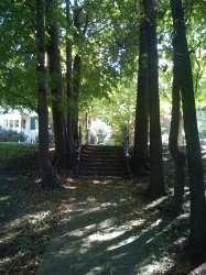 IMG_0034.JPG