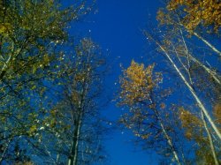 IMG_0016.jpg