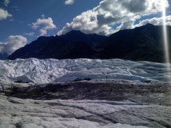 IMG_0288.jpg