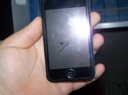 100_1028.JPG
