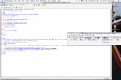 Picture 3.png