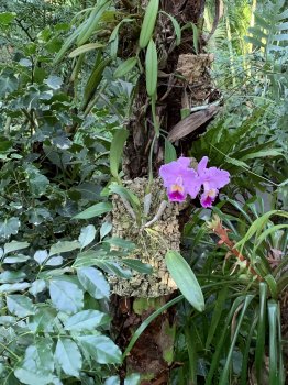 IMG_0039.jpeg