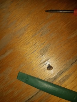 20190110_163134.jpg