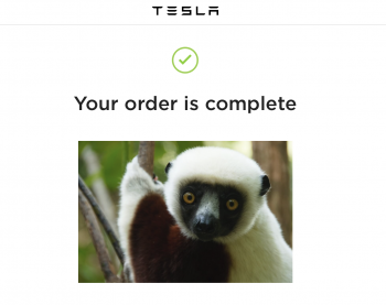 Screen Shot 2019-03-16 at 5.51.07 PM.png