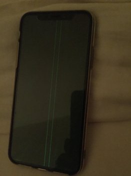 image1.jpeg
