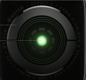 Screen Shot 2019-08-19 at 10.08.45 AM.png