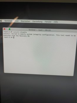15671009516917746781872148551277.jpg