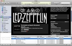 ledz.jpg