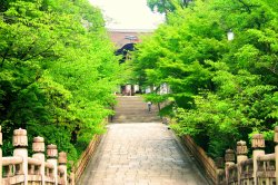 Kyoto_tonemapped.jpg