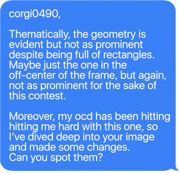 7 cogi0490 message.png