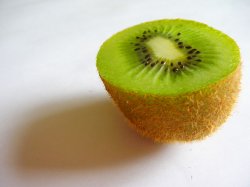 kiwi.jpg