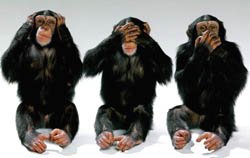 3monkeys.jpg