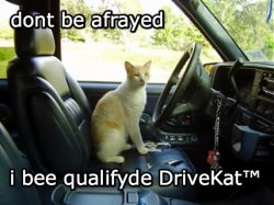 DriveKat.jpg