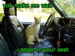 poopseat.jpg