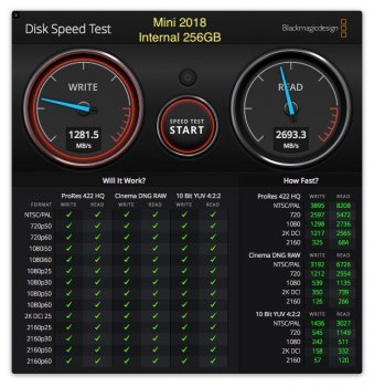 Mini2018 Internal.jpg