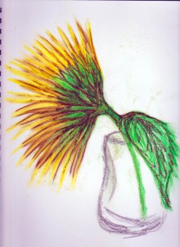 Scan 5.jpg