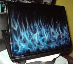 m2.jpg