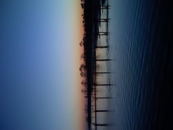 IMG_0065.JPG