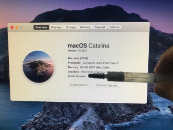 WhatsApp Image 2020-02-14 at 23.02.14.jpeg