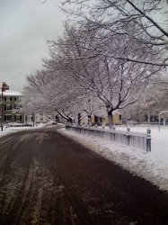 iPhone pics 002.jpg