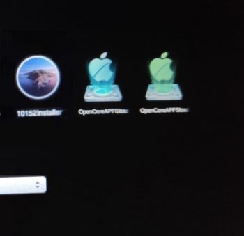 example OpenCoreAPFSloader at apple startup.jpeg