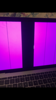 Pink MacBook.PNG