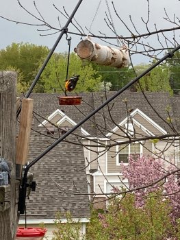 IMG_0451.jpeg