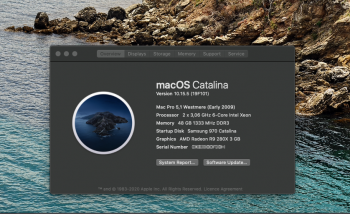 Cat 15.5 build 19F101.png