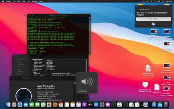BigSur non-APFS usb sound wifi.png
