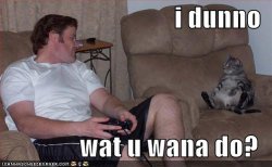 funny-pictures-lounging-cat-guy-plays-videogames.jpg